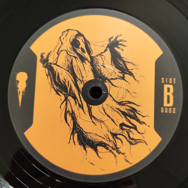 Entities: Wraith back cover