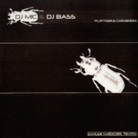 Platycerus Caraboides