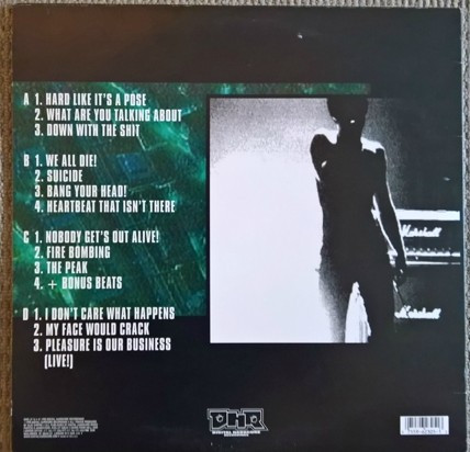 The Destroyer back cover