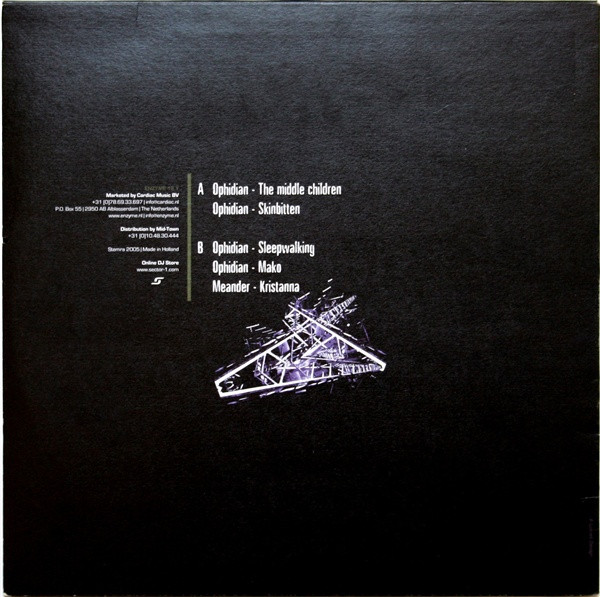 Today Never Happened back cover