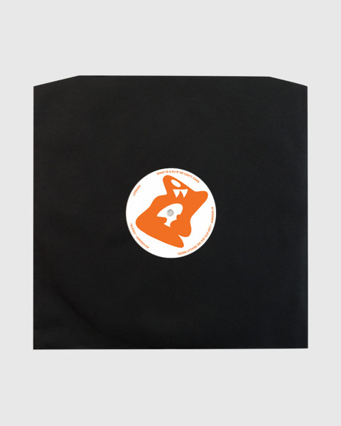 What Is A DJ If He Can't Care back cover