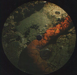 Motherfucking Ants back cover