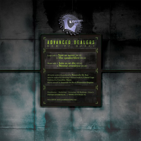 Now Or Never back cover