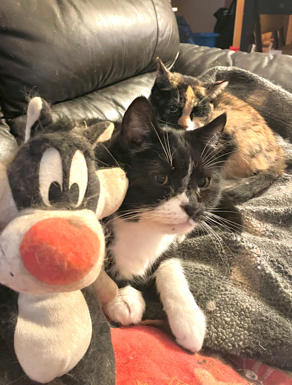 DJ Van Gaal & MC Van Praag