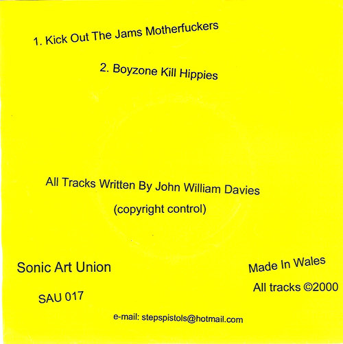 Never Mind The Boy Rock Here's The Steps Pistols back cover