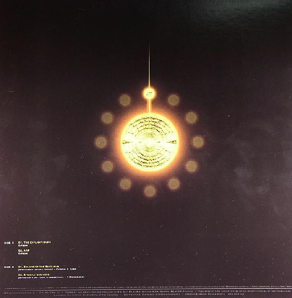 The Daylight Burn back cover