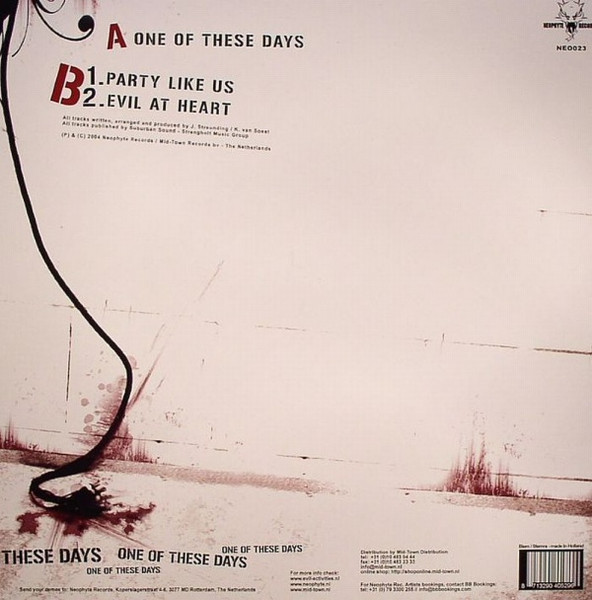 One Of These Days back cover