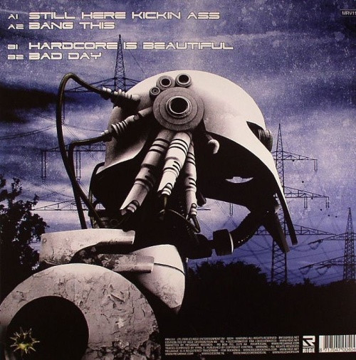 Still Here Kickin Ass back cover