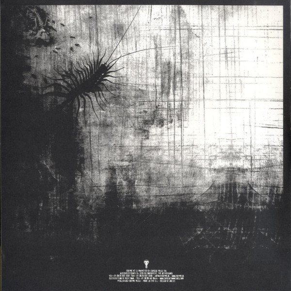 D.M.T. / The Raebai back cover