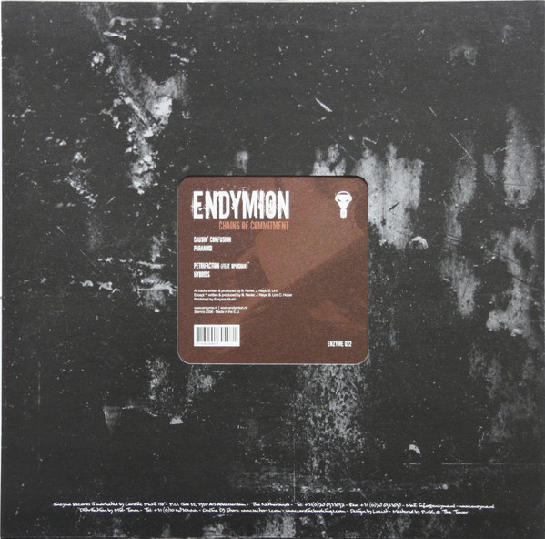 Chains Of Commitment back cover