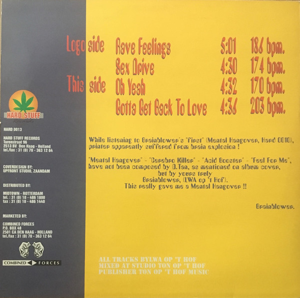 Rave Feelings back cover