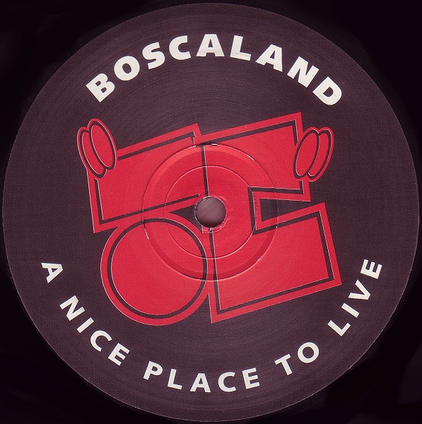 'Vorsprüng, Dürch, Techno' back cover