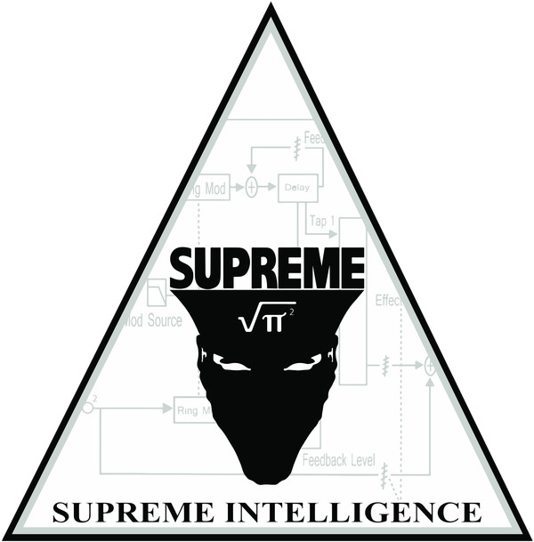 Supreme Intelligence