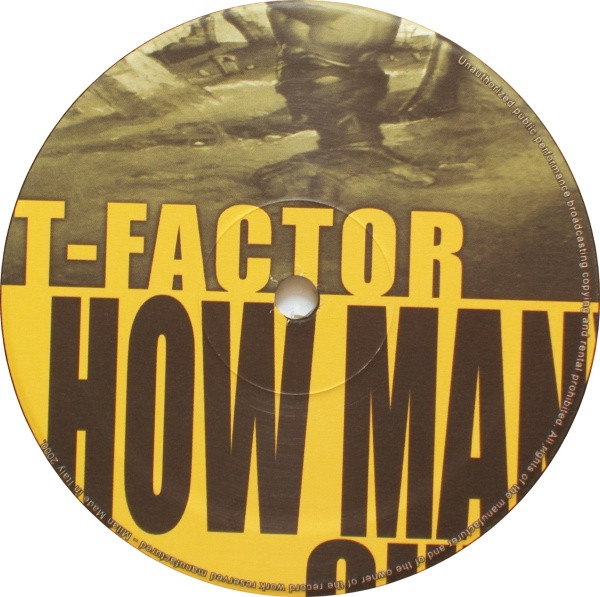 How Many More Out There? back cover