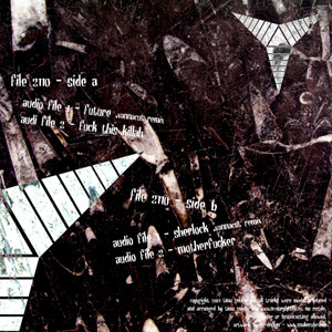 Vannacut's Archive back cover