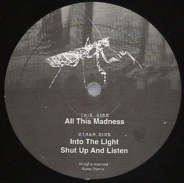 All This Madness back label