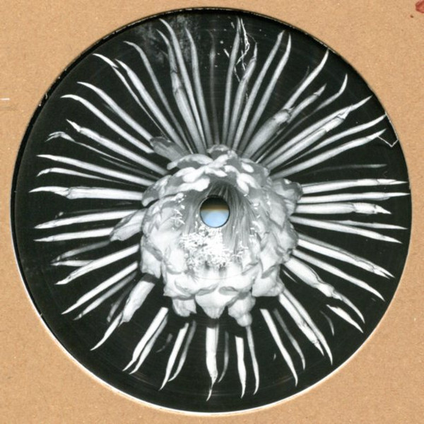 Die Königin Der Nacht back cover