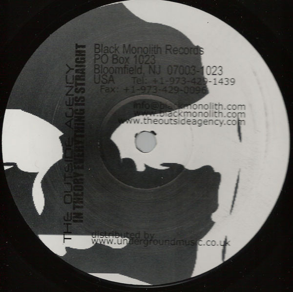 In Theory Everything Is Straight back cover