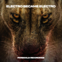 Electro Became Electro front cover