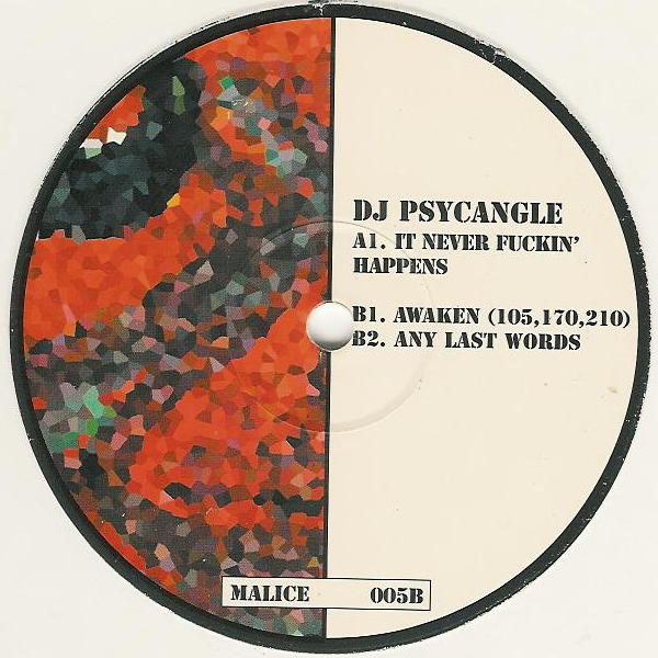 It Never Fuckin' Happens back cover