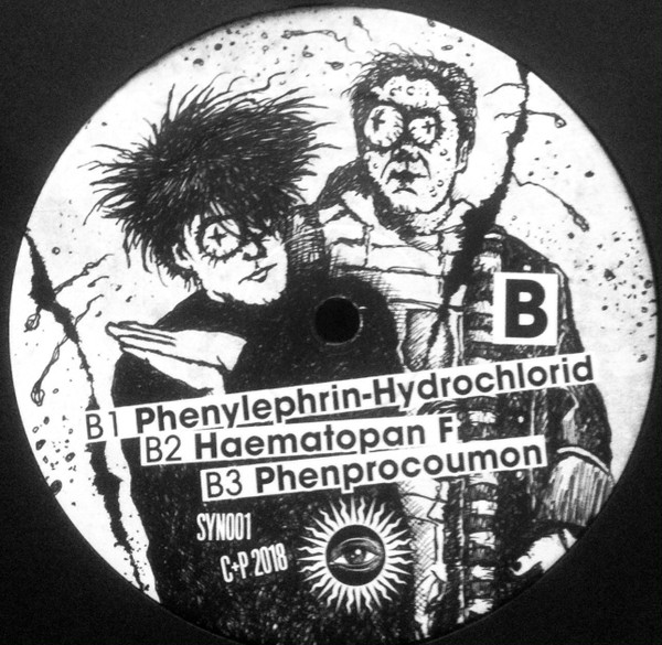 6 Fragmente In Der Chronologie Des Wahnsinns back cover