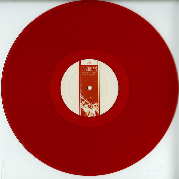 Tomorrow Is A Promise back label