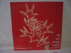 Not Down With The Standard back cover