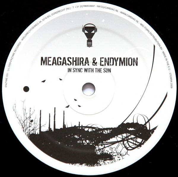 In Sync With The Sun back label