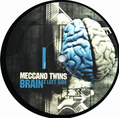 Brain: Left Side front label