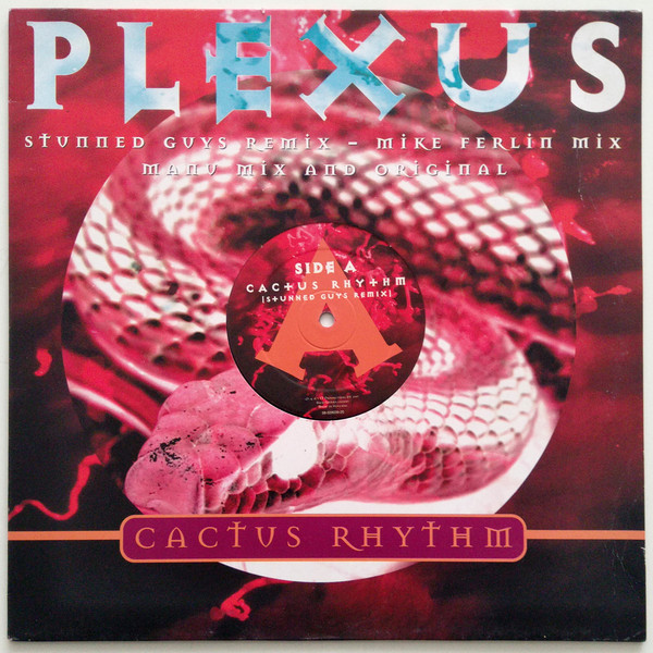 Cactus Rhythm front cover