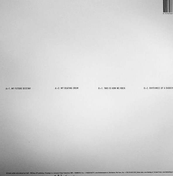 My Future Destiny back cover