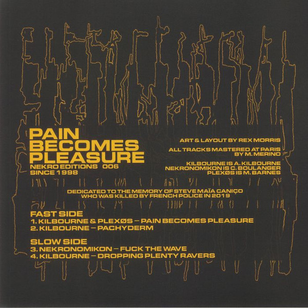 Pain Becomes Pleasure back cover