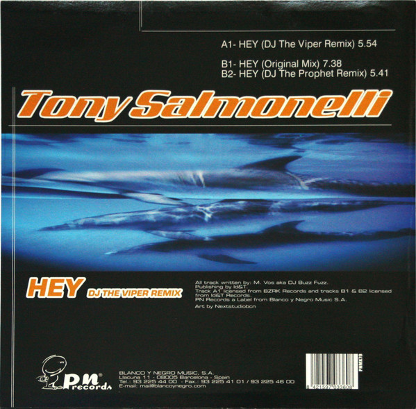 Hey (DJ The Viper Remix) back cover