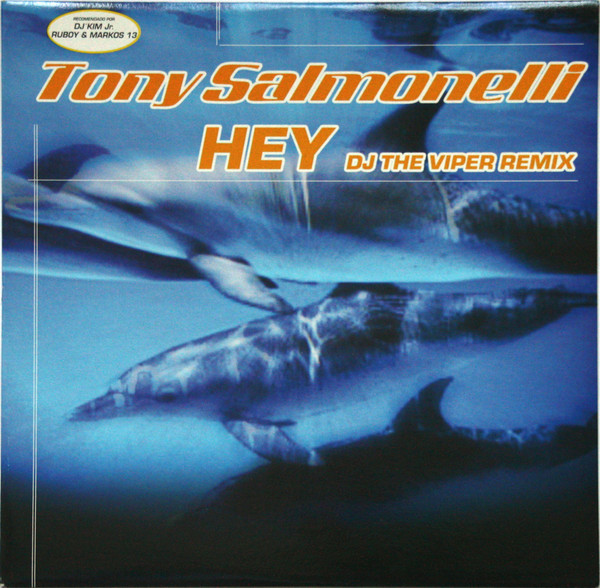Hey (DJ The Viper Remix)