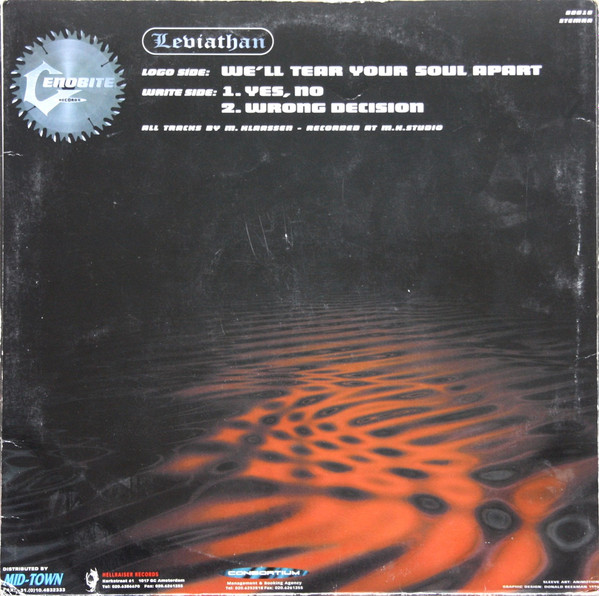 We'll Tear Your Soul Apart back cover