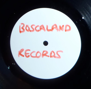 The Dentist From Boscaland back cover