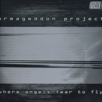 Where Angels Fear To Fly