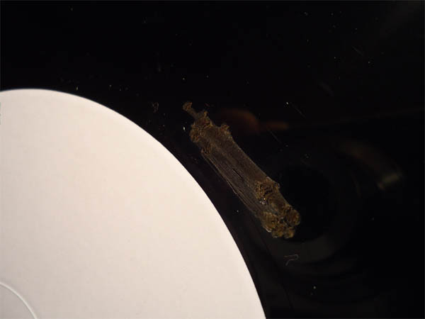 PCP Classics Vol.1 front label