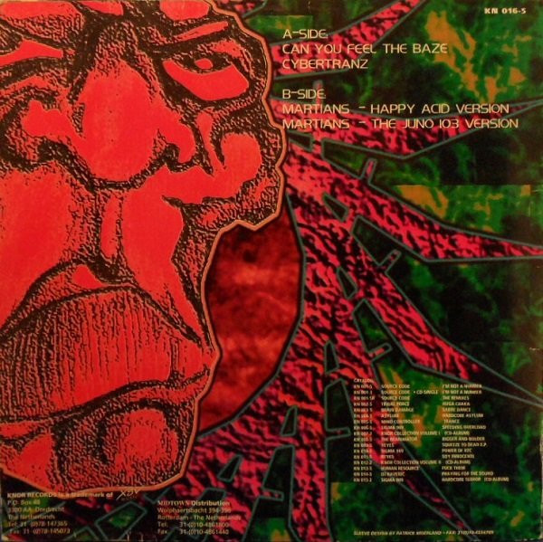 Can You Feel The Baze back cover