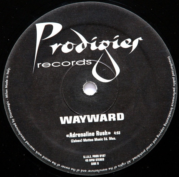 Hardcore Hijacked Me back cover