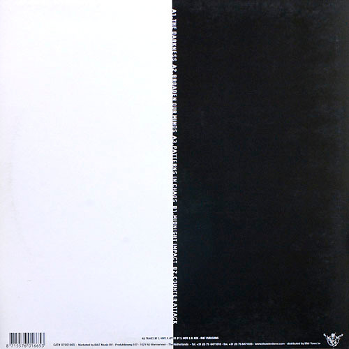 Patterns In Chaos back cover