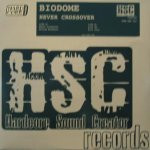 Never Crossover front cover